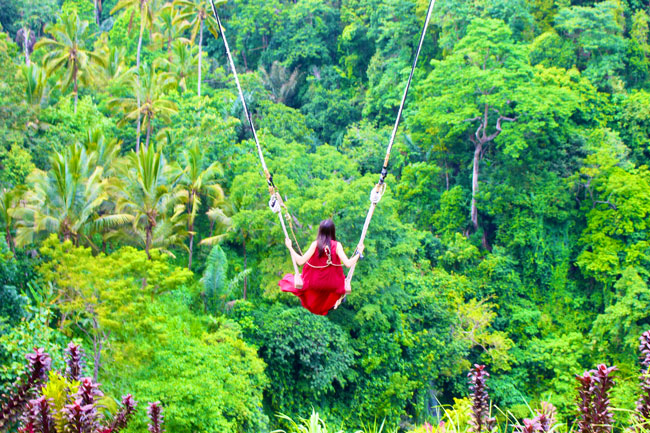 Chain supply control and FSC® certification